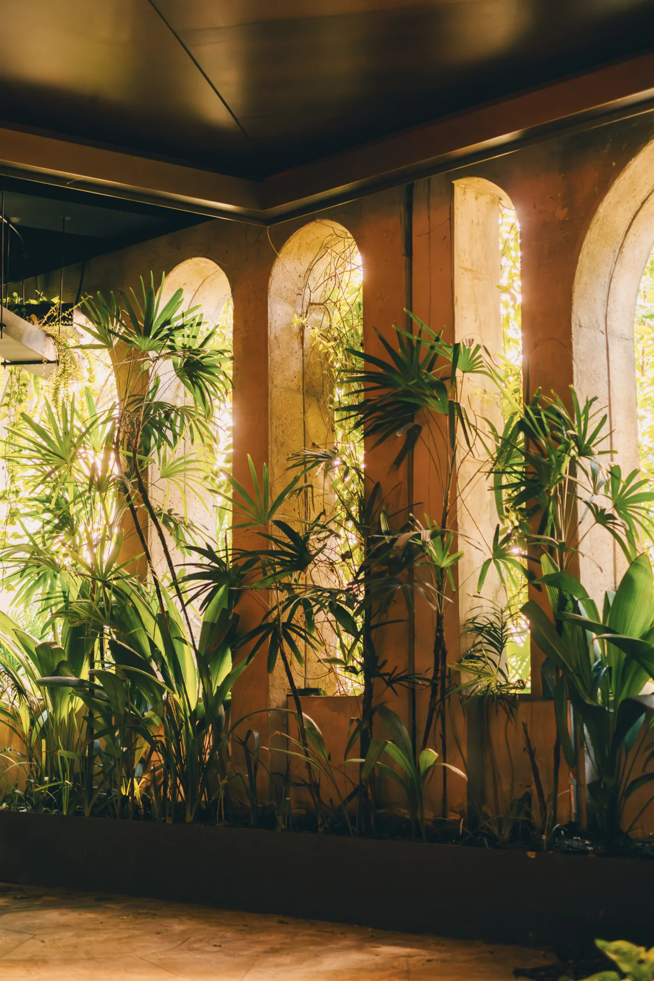 Indoor plants grow along a wall with tall arched windows, allowing sunlight to filter through and cast shadows on the floor.